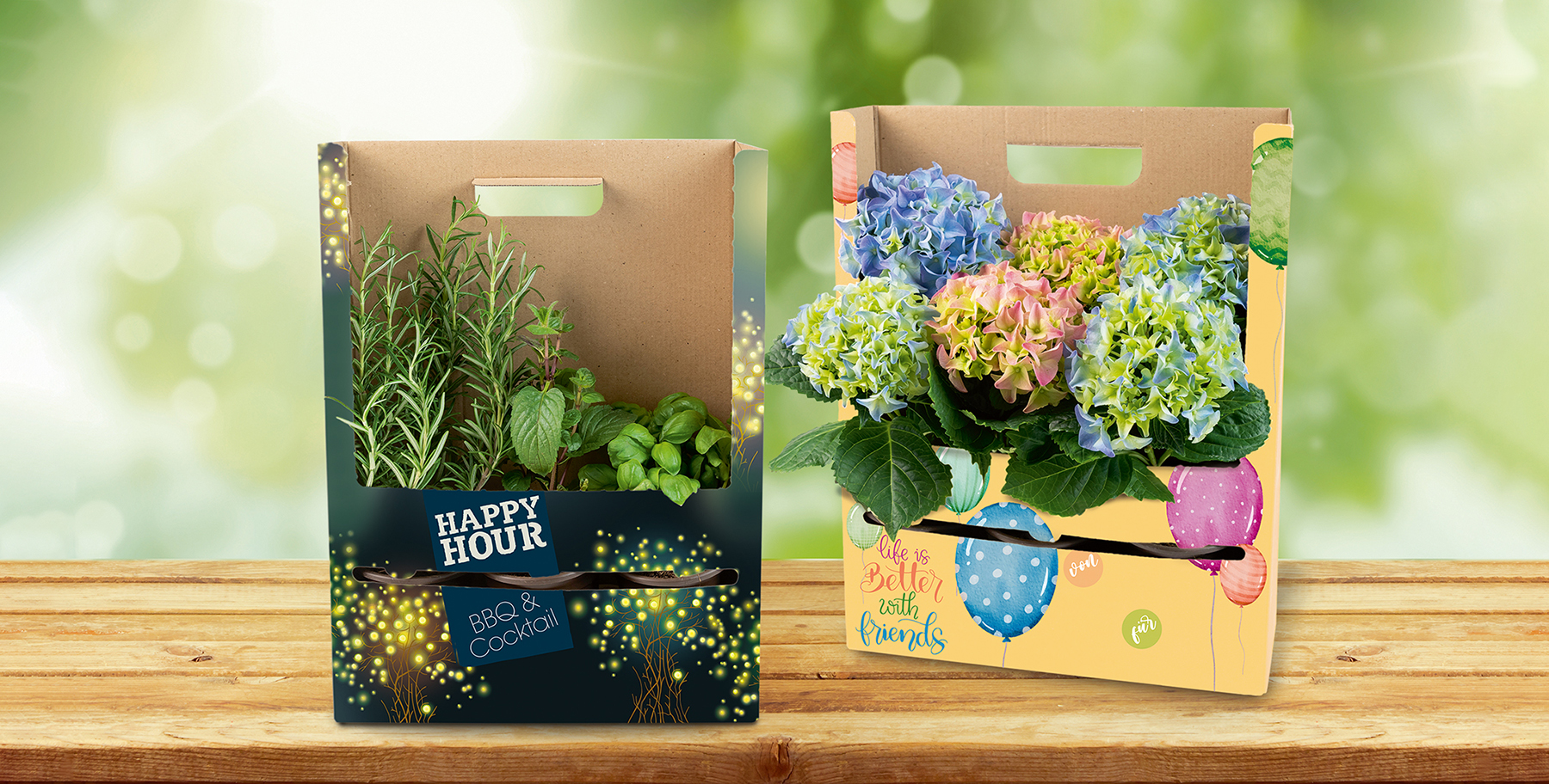 Pflanzenverpackung als Blickfang