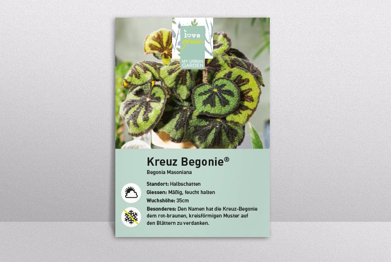 Gardencards_hoch