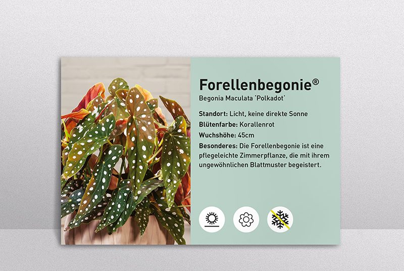 Gardencards_quer