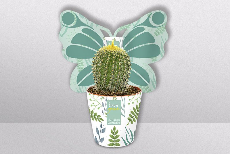 Potcover_individuelle_Formen