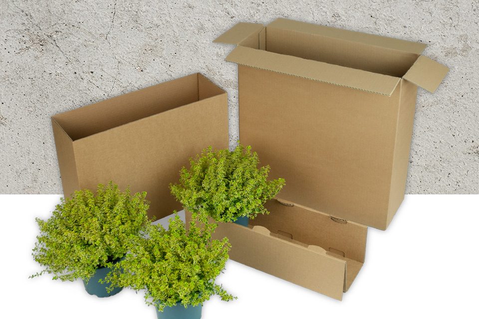 Produktvarianten_960x640mm_Bushy