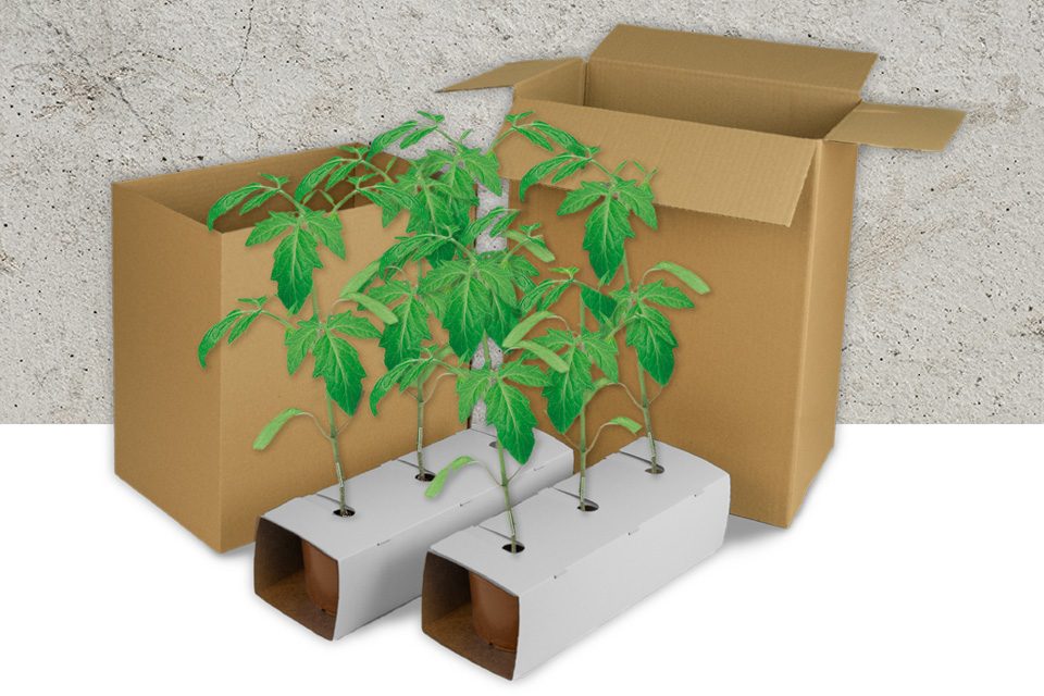 Produktvarianten_960x640mm_Medium