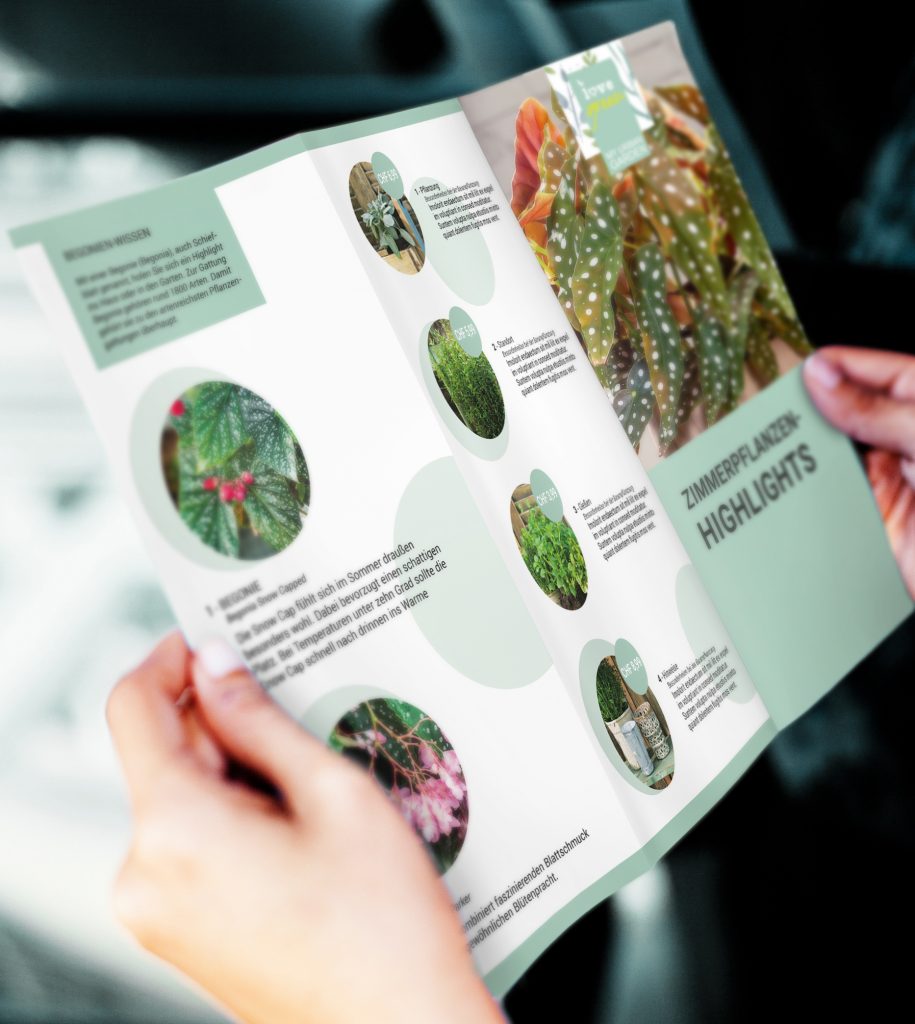 Hands holding a business brochures